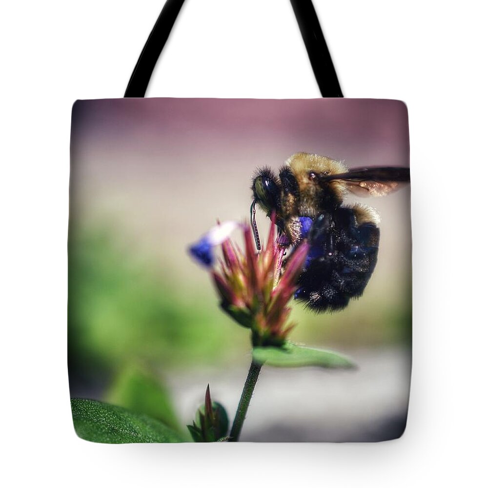 Photo Tote Bag featuring the photograph Bumble Bee at Work by Evan Foster