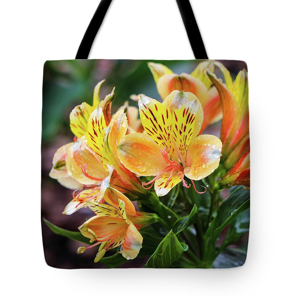 Lily Tote Bag featuring the photograph Bundle of Lily by Mary Anne Delgado
