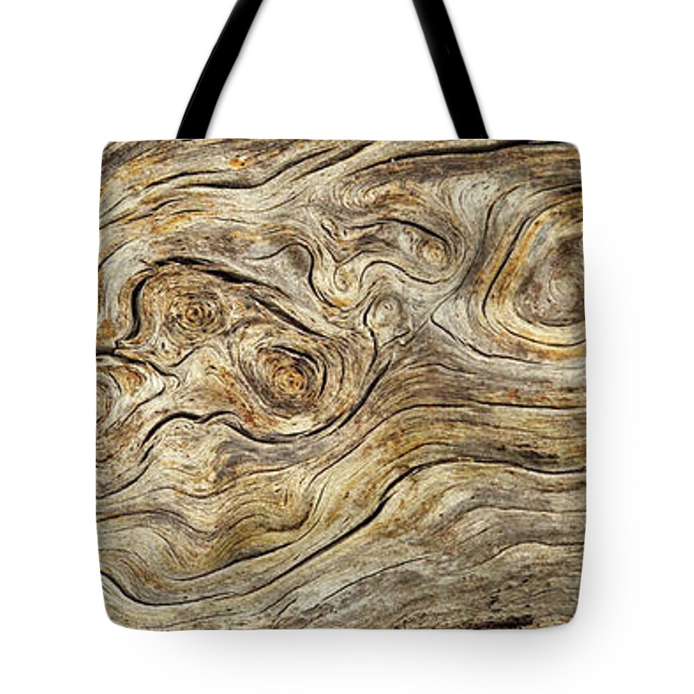 Stump Tote Bag featuring the photograph Burlwood Stump by James Eddy