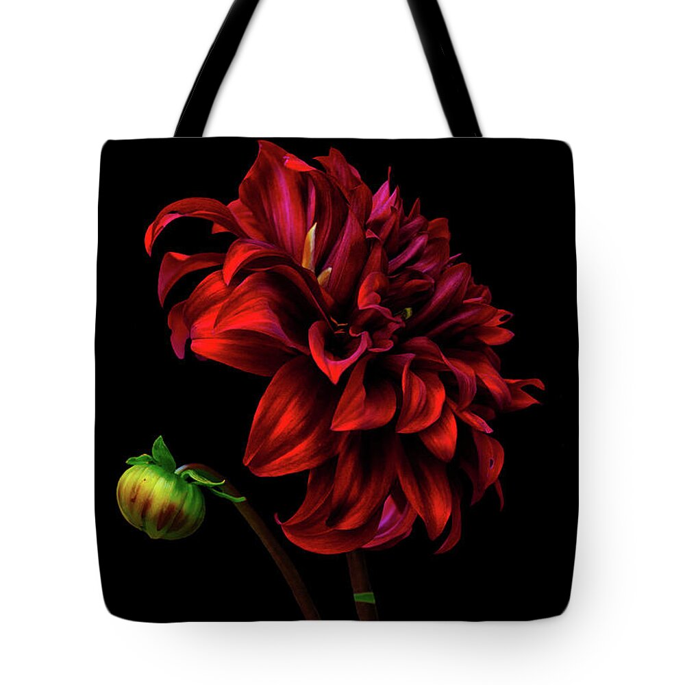Dahlia Tote Bag featuring the photograph Burn Daylight by Cynthia Dickinson