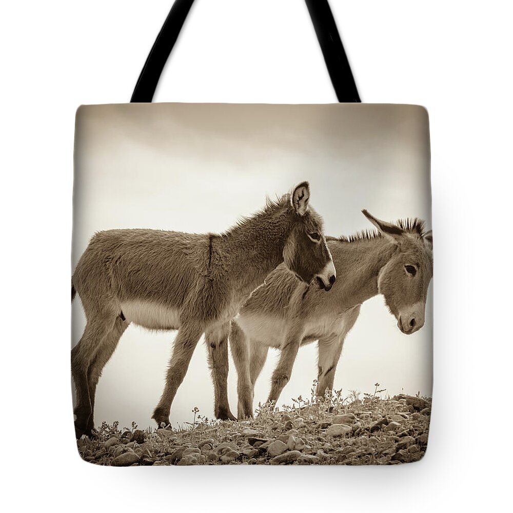 Wild Burros Tote Bag featuring the photograph Burro Buddies 2 by Mary Hone
