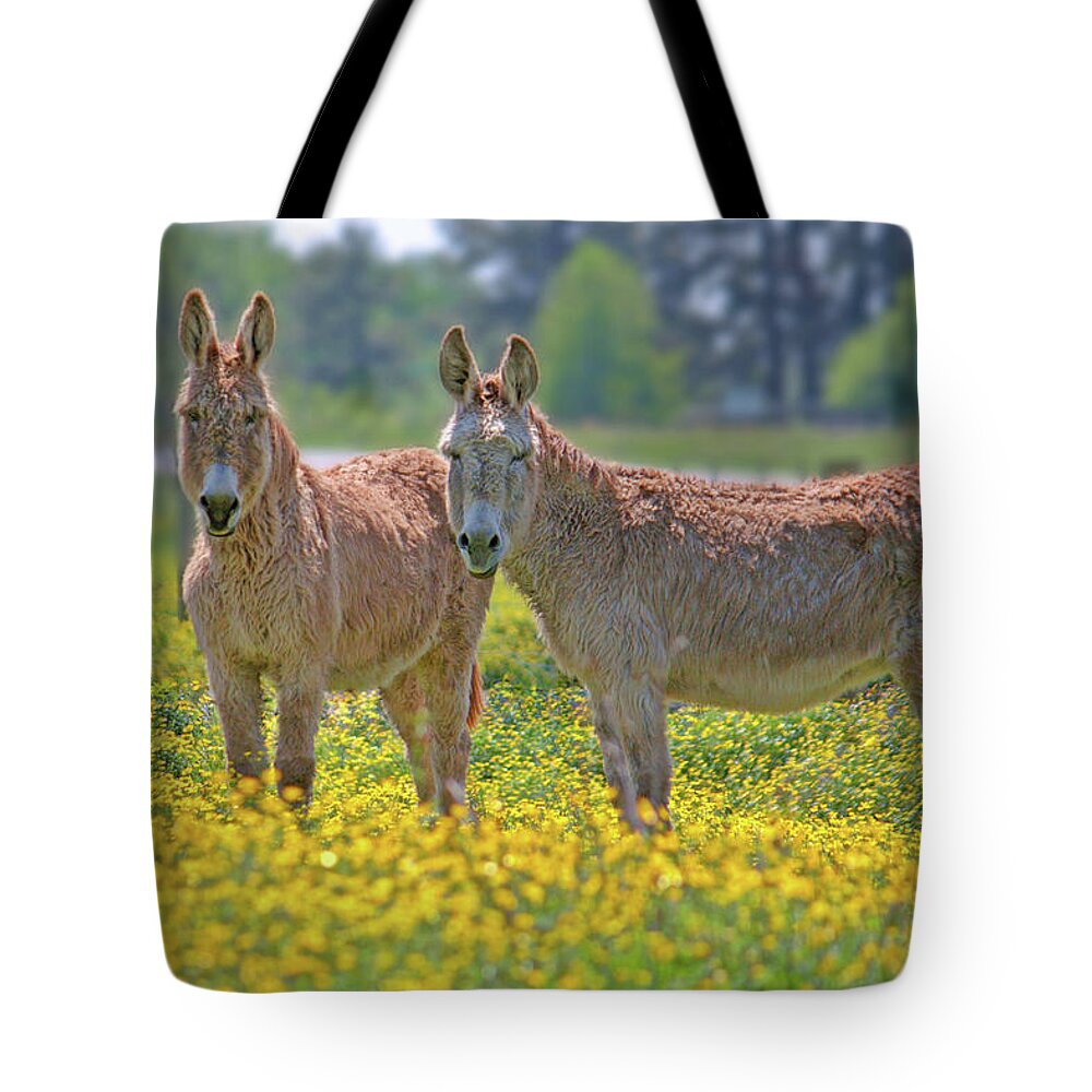 Midland Tote Bag featuring the photograph Burros in the Buttercups by Suzanne Stout