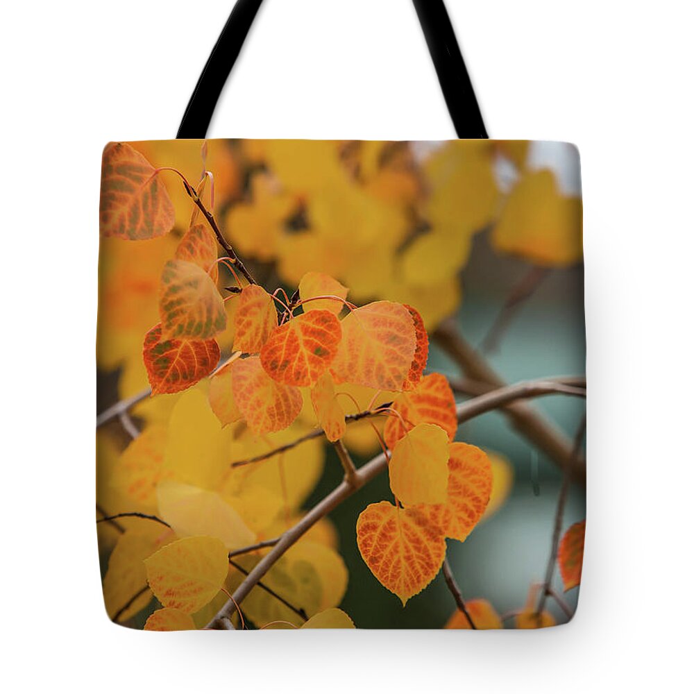Aspens Tote Bag featuring the photograph Burst of Colors by Robin Valentine