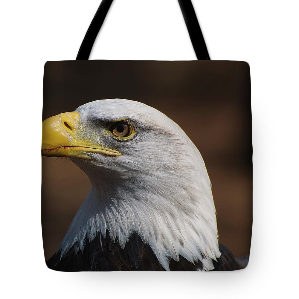 Bald Eagle Tote Bag featuring the photograph bust image of a Bald Eagle by Flees Photos