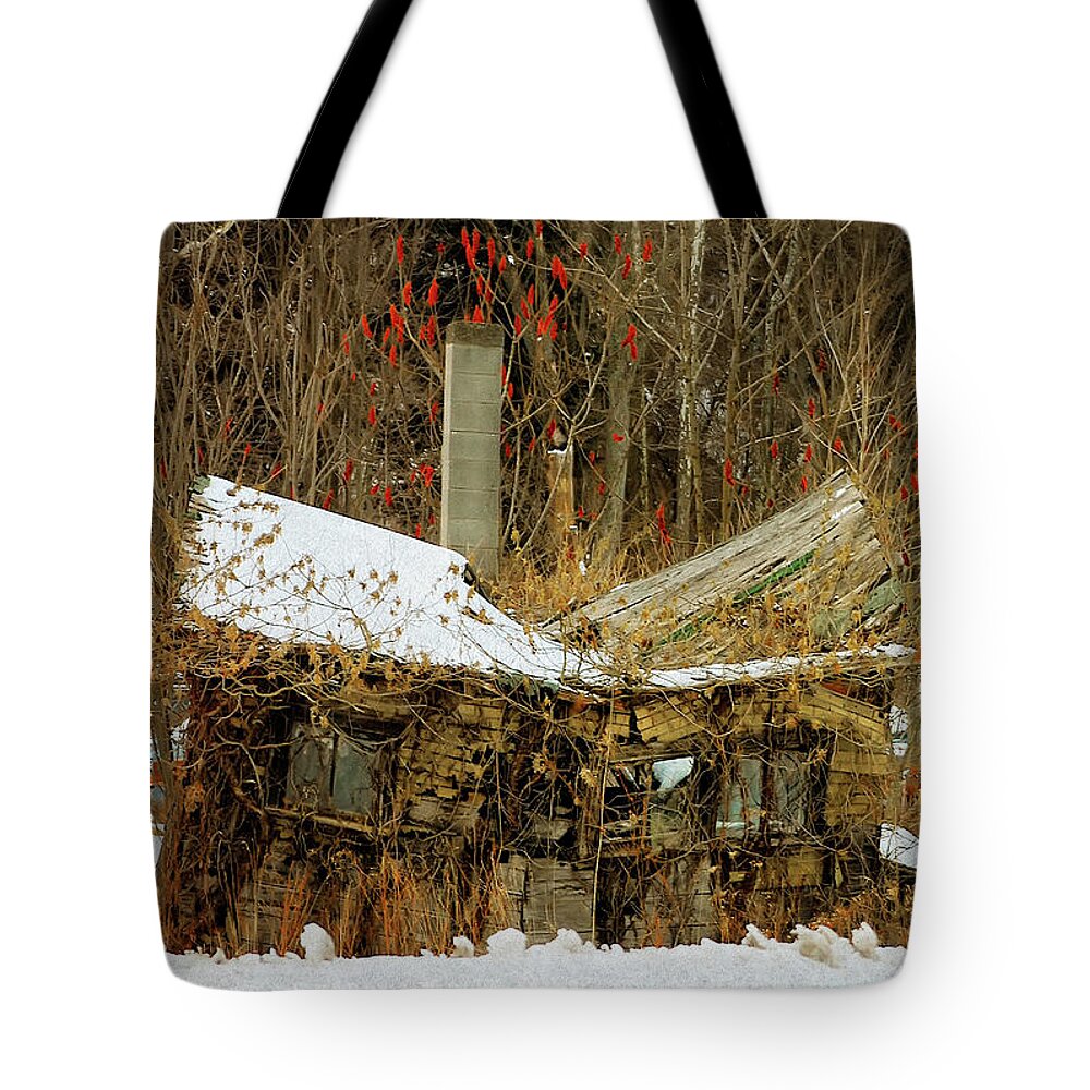 House Tote Bag featuring the digital art Busted by Lois Bryan
