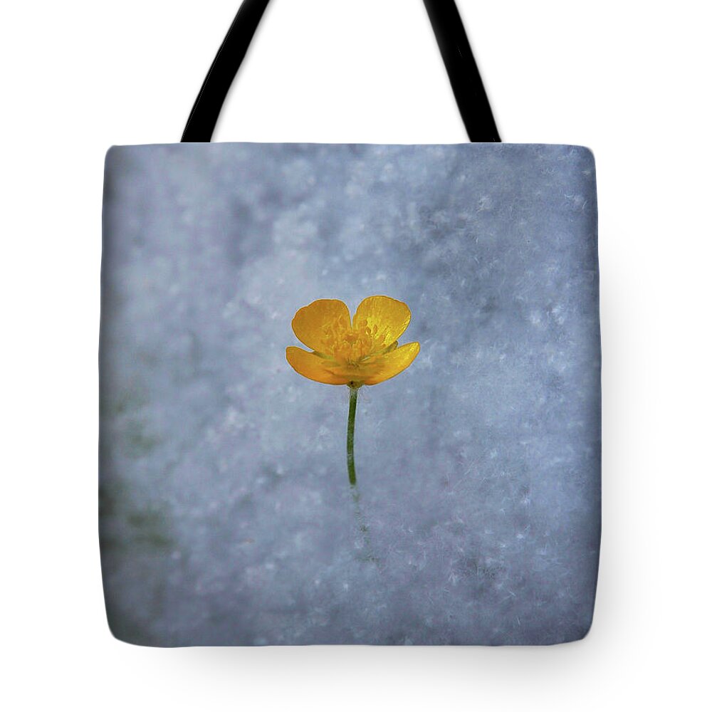 Buttercup Tote Bag featuring the photograph Buttercup by Ryan Workman Photography