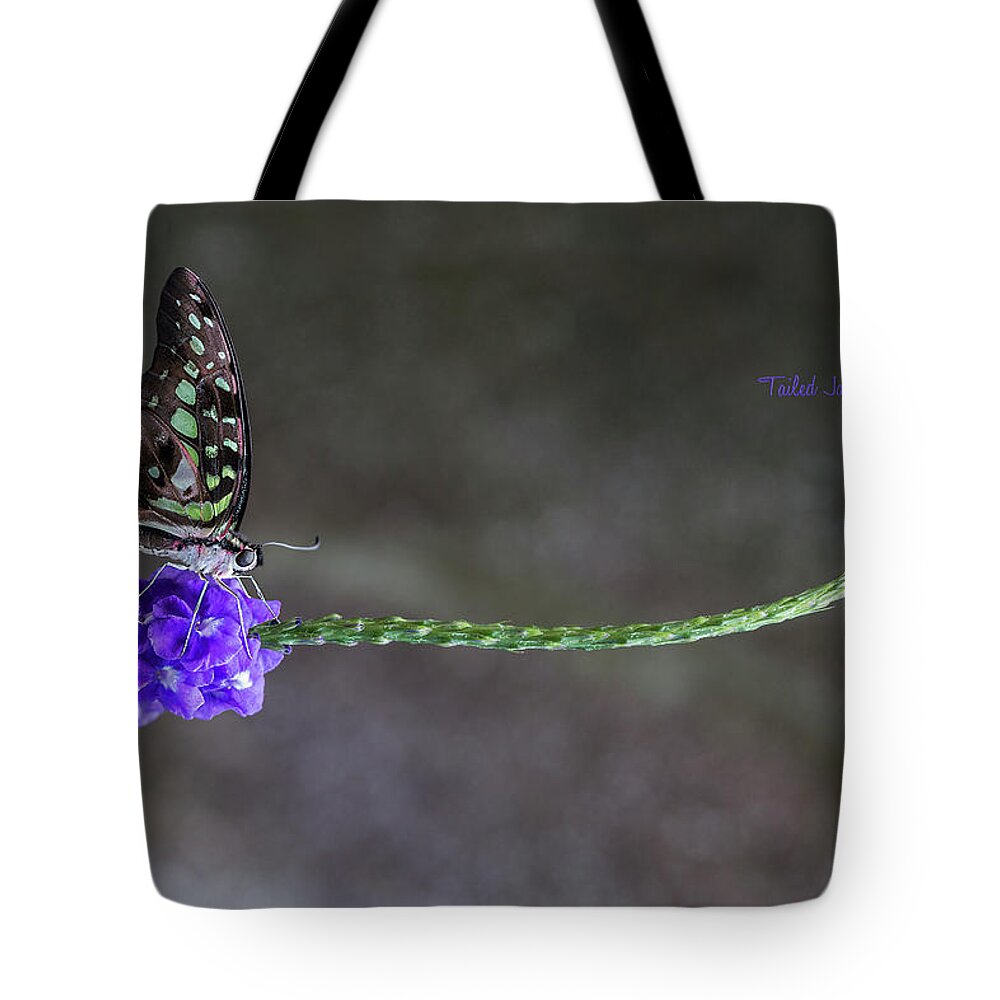 Butterfly Tote Bag featuring the photograph Butterfly - Tailed Jay II by Patti Deters