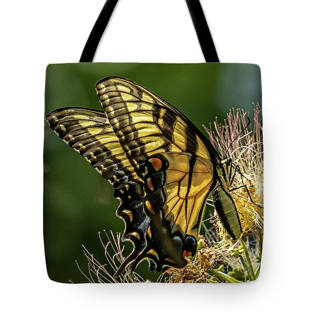Eastern Tiger Swallowtail Butterfly Tote Bag featuring the photograph Butterfly Wings by Rick Nelson
