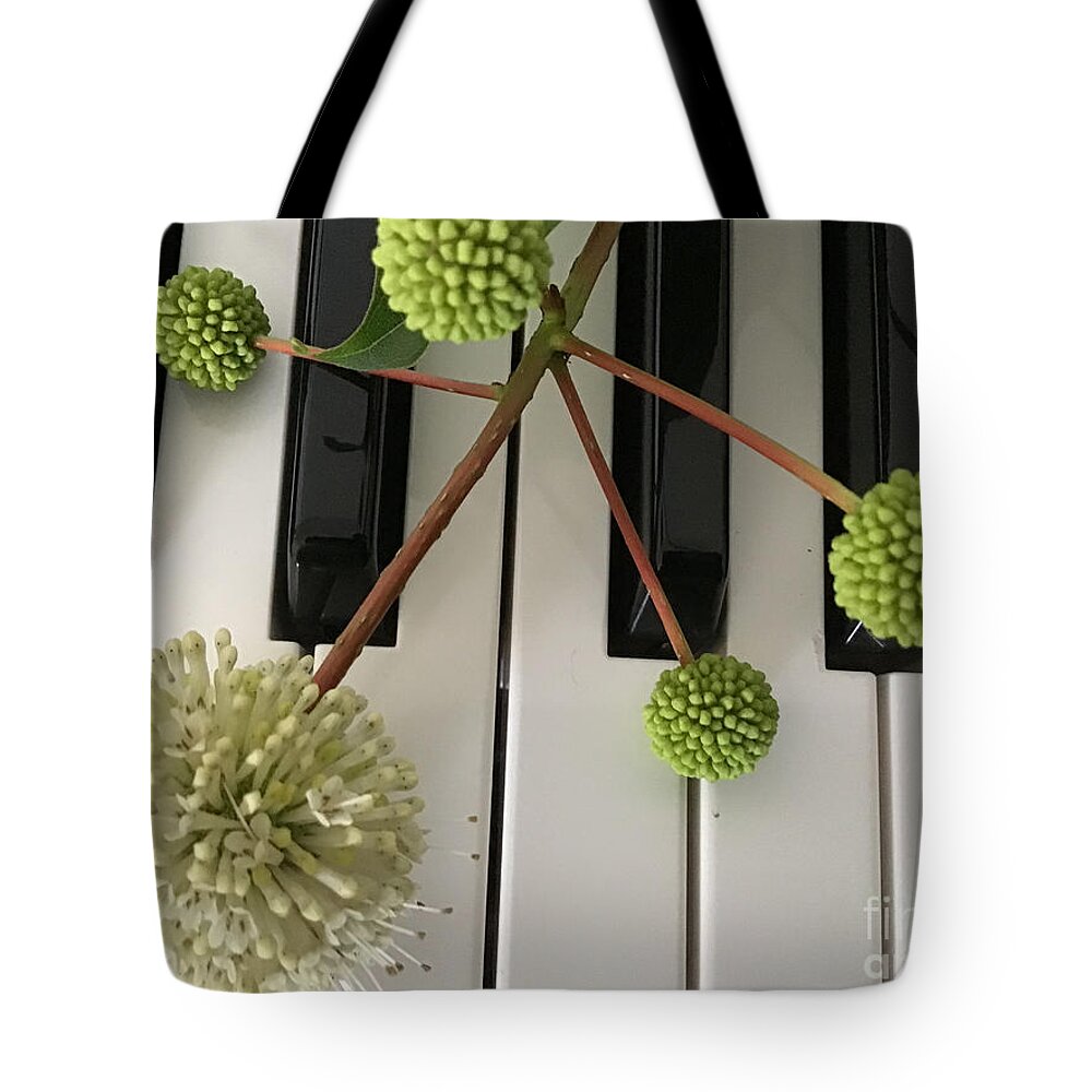 Buttonbush Tote Bag featuring the photograph Buttonbush on Keyboard by Catherine Wilson