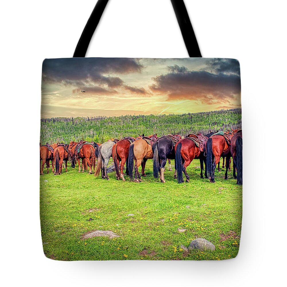 Horses Tote Bag featuring the photograph Butts by DB Hayes