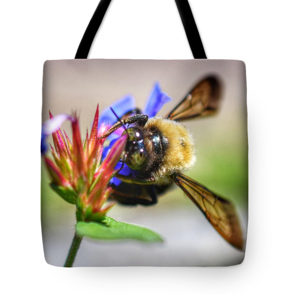 Photo Tote Bag featuring the photograph Buzz Buzz by Evan Foster
