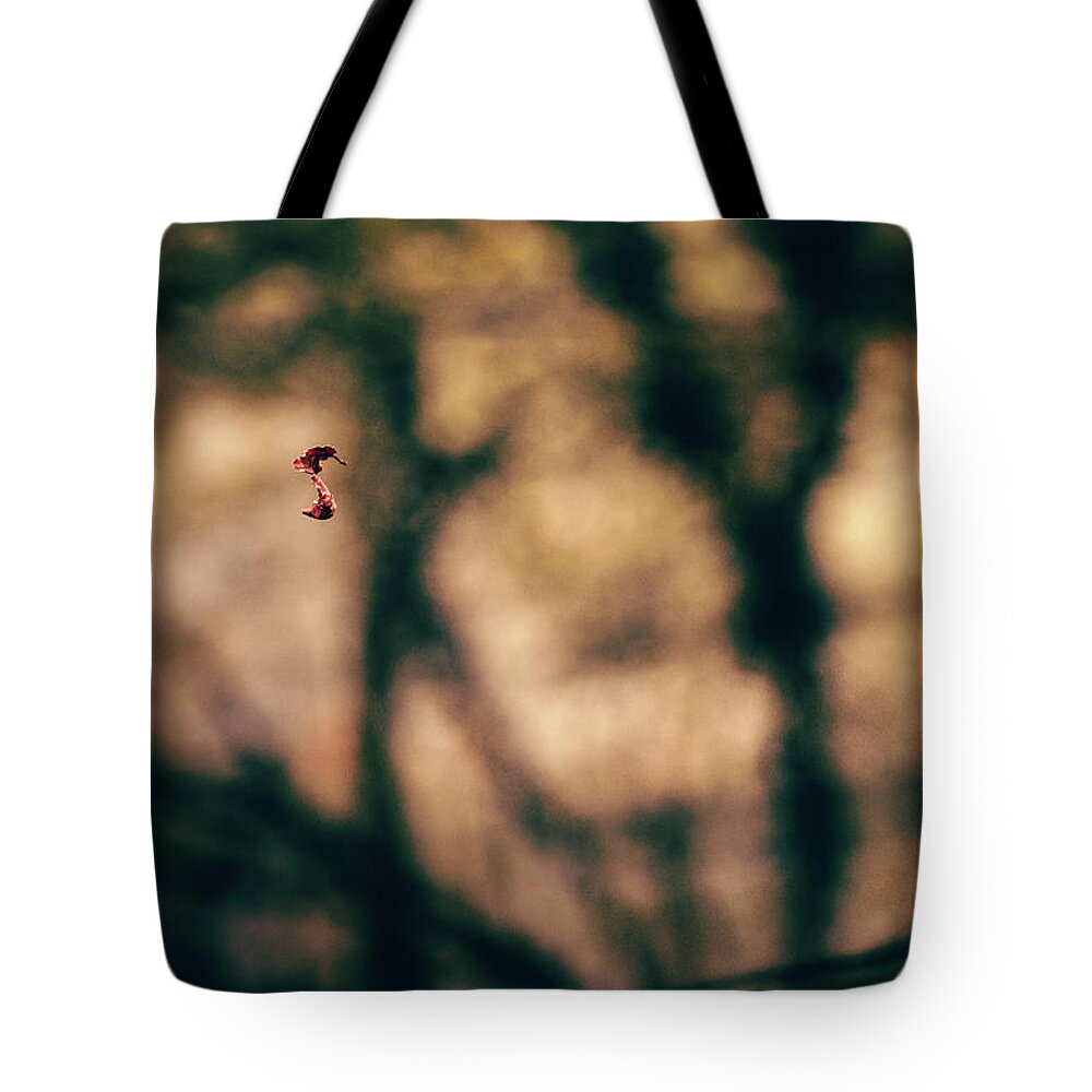 Forest Tote Bag featuring the photograph By a thread by Gavin Lewis