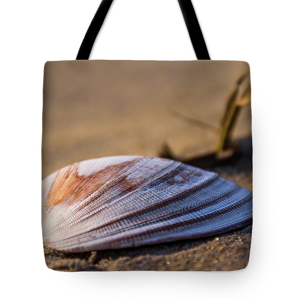 Chincoteague Tote Bag featuring the photograph By the seashore by Robert Miller