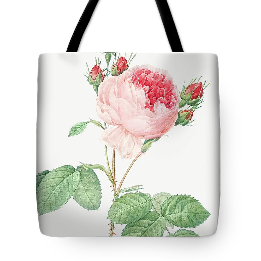 Cabbage Rose Tote Bags