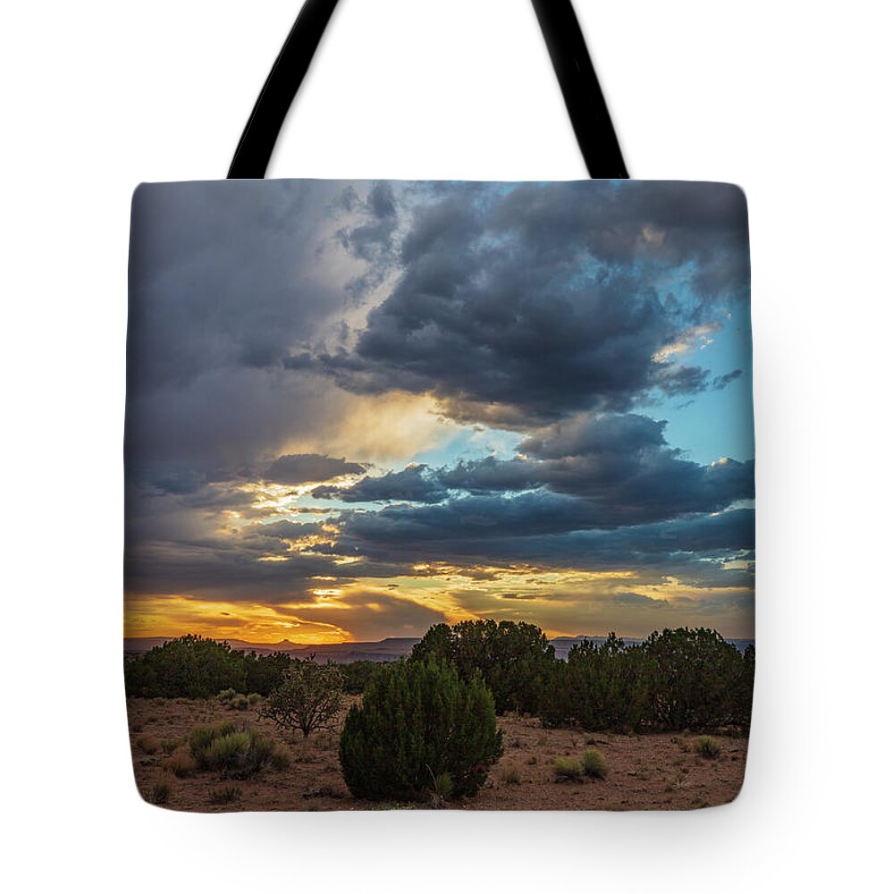 Landscape Tote Bag featuring the photograph Cabezon Gold by Seth Betterly