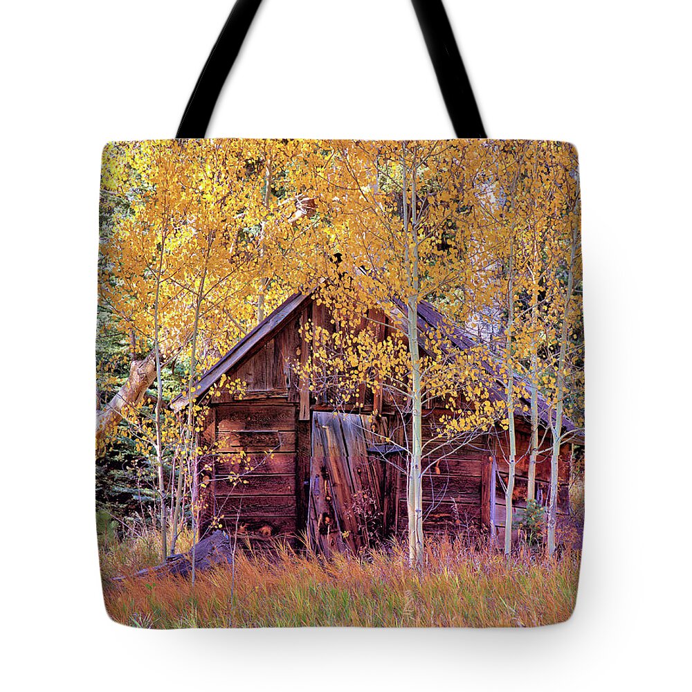Cabin Tote Bag featuring the photograph Cabin in the Forest by Bob Falcone