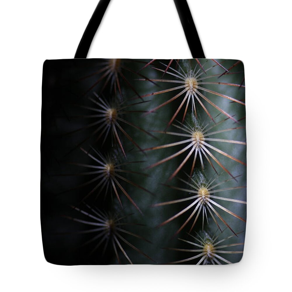 Cactus Tote Bag featuring the photograph Cactus 9536 by Julie Powell
