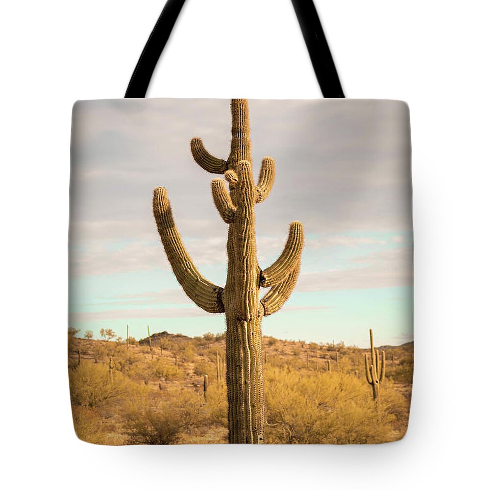 Landscape Tote Bag featuring the photograph Cactus Bright by Go and Flow Photos