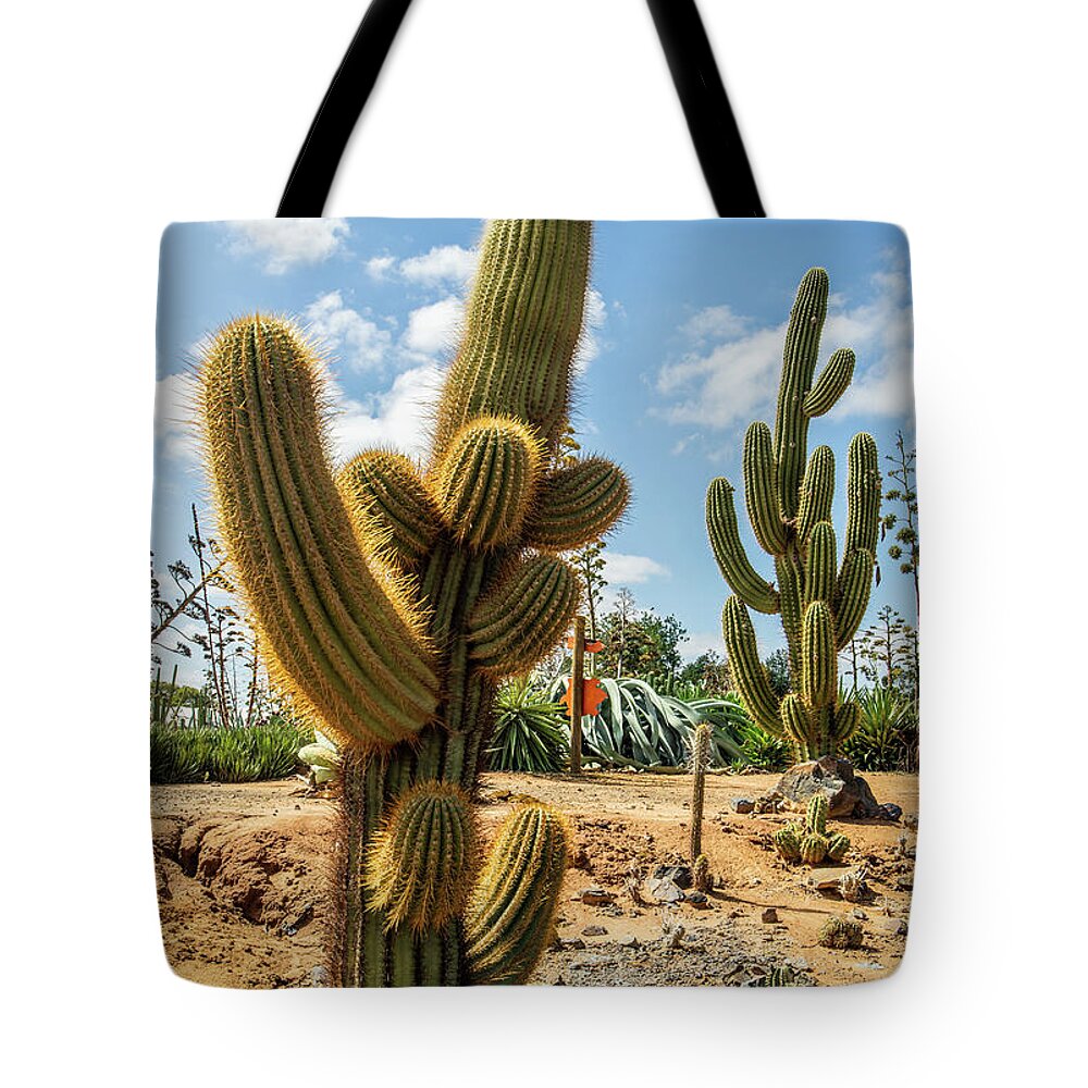 Cactus Tote Bag featuring the photograph Cactus Country by Vicki Walsh