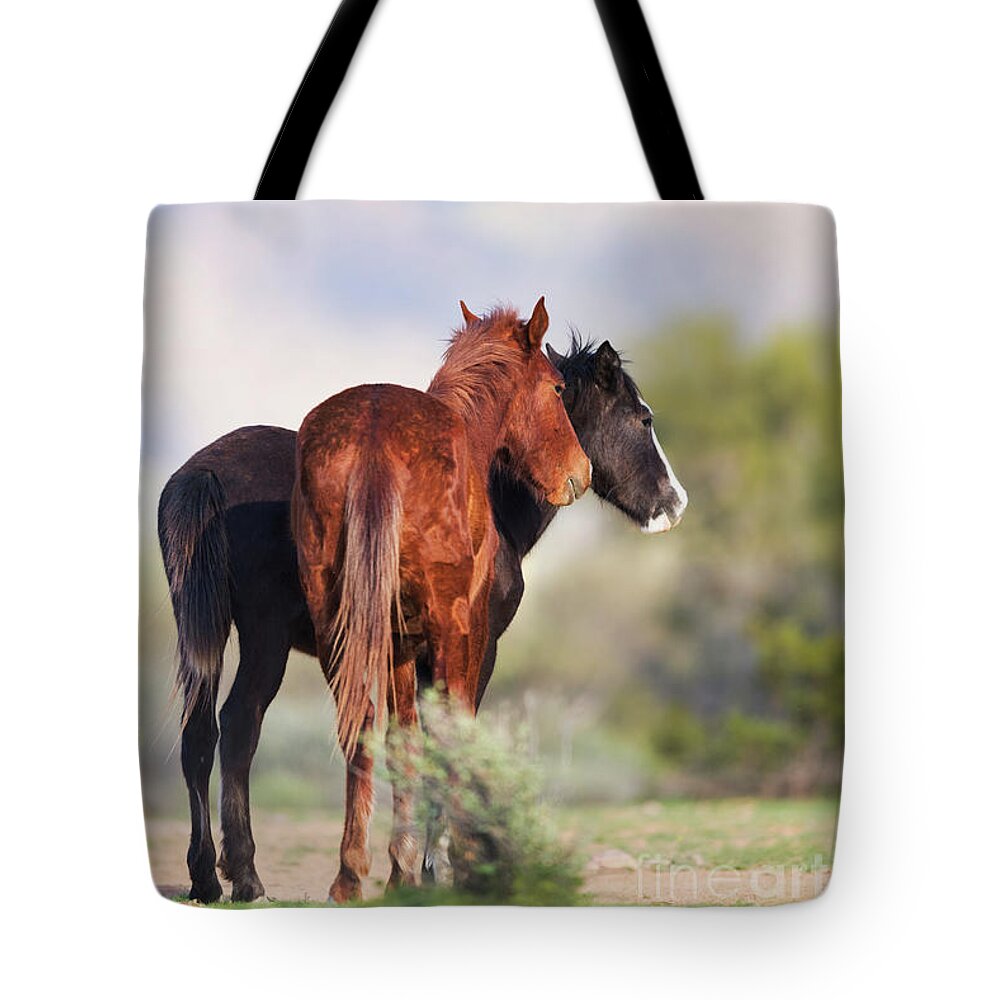 Cactus Fire Tote Bag featuring the photograph Cactus Fire and Friend by Shannon Hastings
