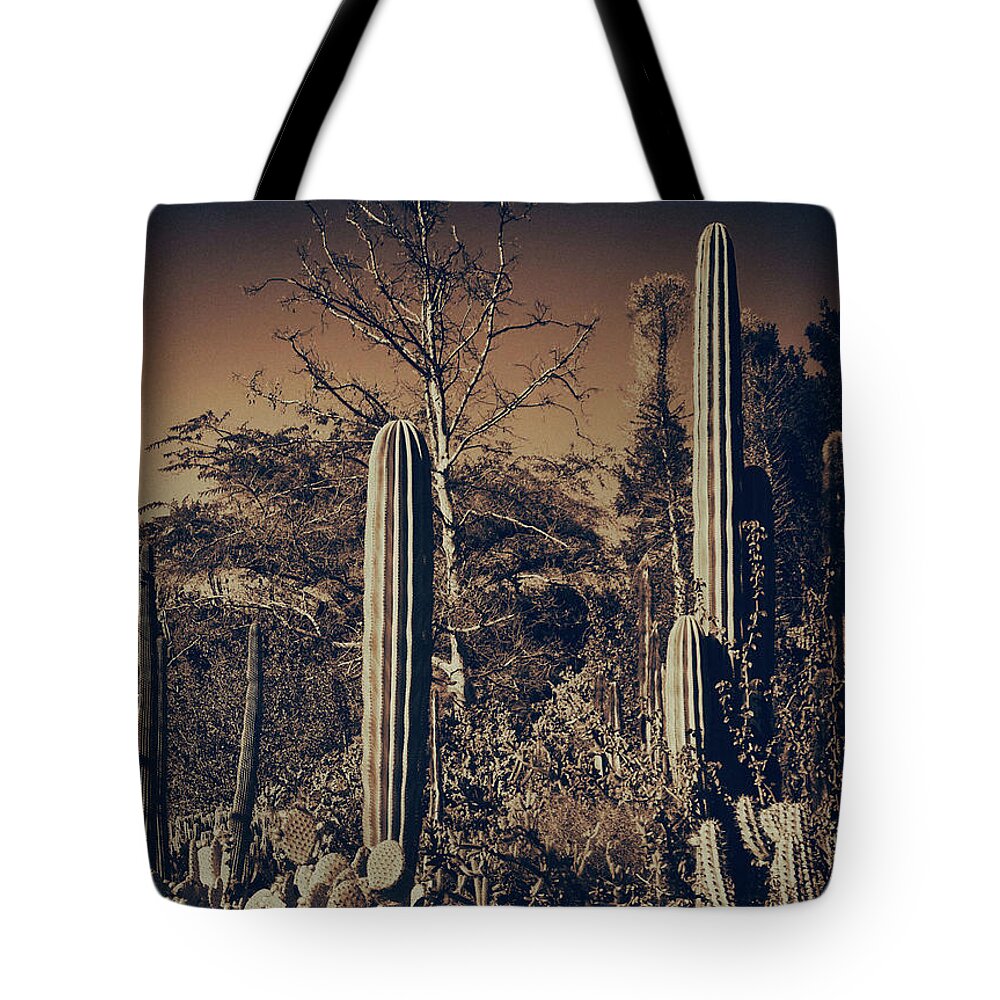 Cactus Tote Bag featuring the photograph Cactus Garden 9 by Lawrence Knutsson