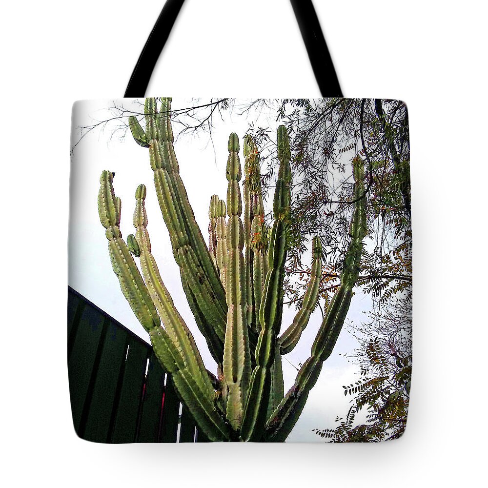 Tree Tote Bag featuring the photograph Cactus Tree by Andrew Lawrence