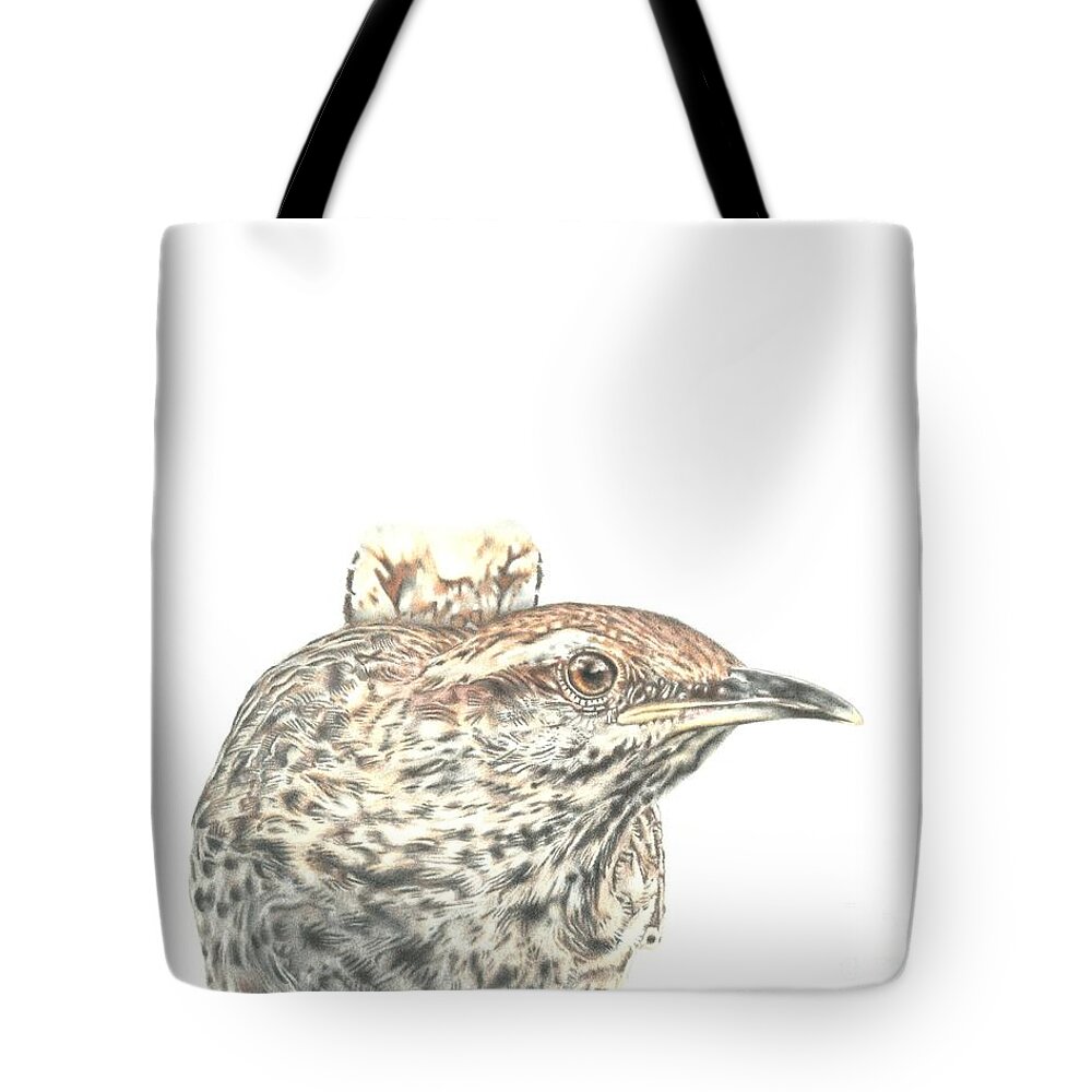 Cactus Wren Tote Bag featuring the drawing Cactus Wren by Karrie J Butler
