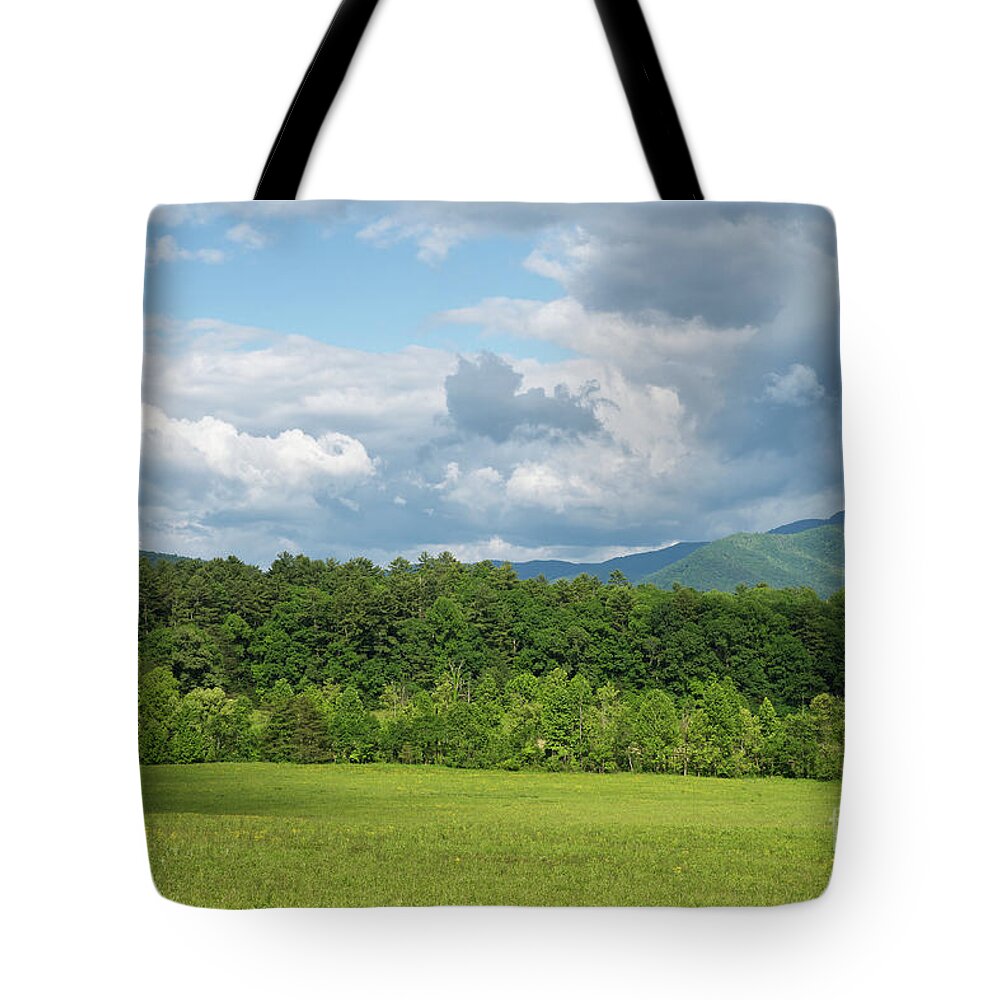 Cades Cove Tote Bag featuring the photograph Cades Cove Landscape 12 by Phil Perkins