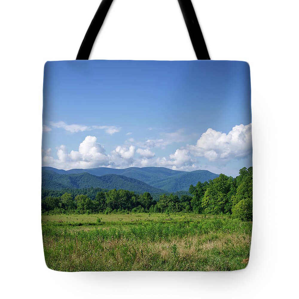 Tennessee Tote Bag featuring the photograph Cades Cove Landscape 3 by Phil Perkins