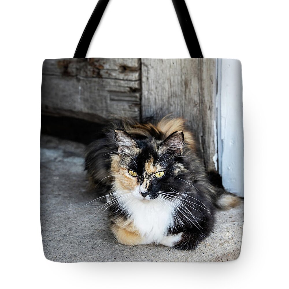 Barns Tote Bag featuring the photograph Calico Barn Cat by Kim Sowa