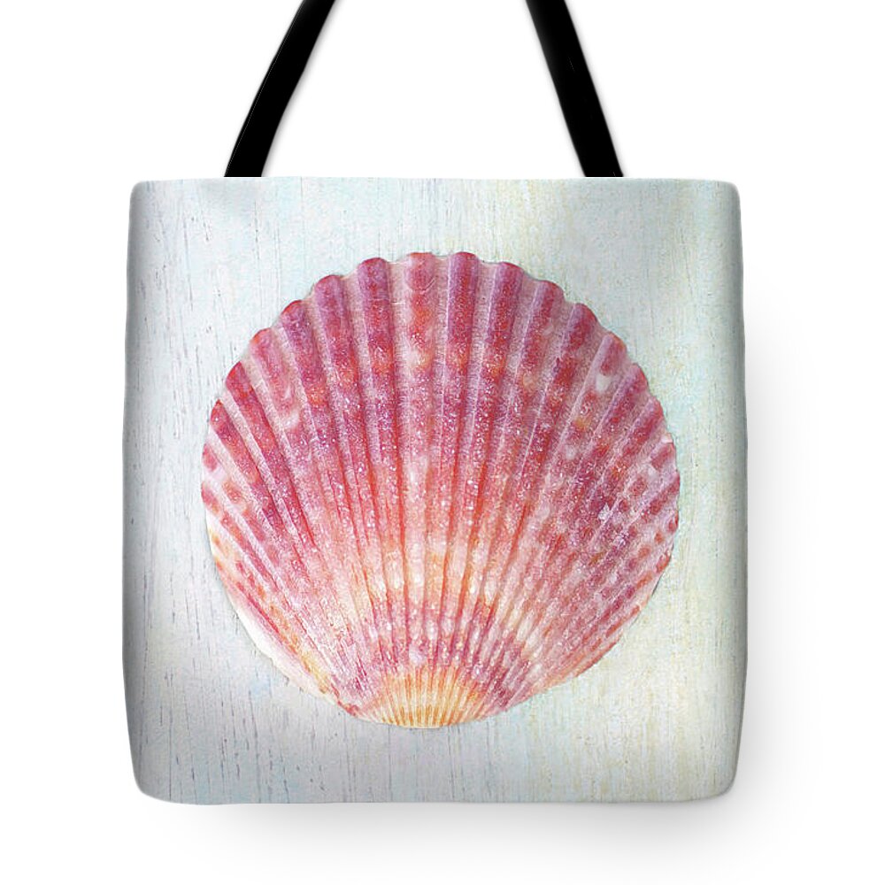 Seashells Tote Bag featuring the photograph Calico Beauty by Kathi Mirto
