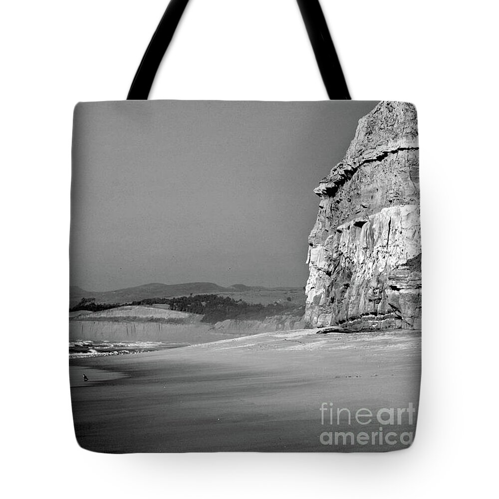 Shoreline Tote Bag featuring the photograph California Beach by Kimberly Blom-Roemer