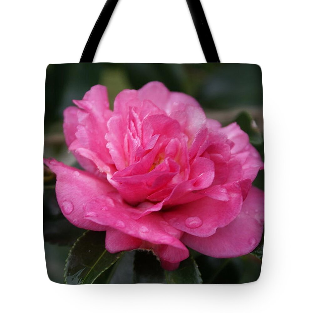  Tote Bag featuring the photograph Camilla Flower by Heather E Harman