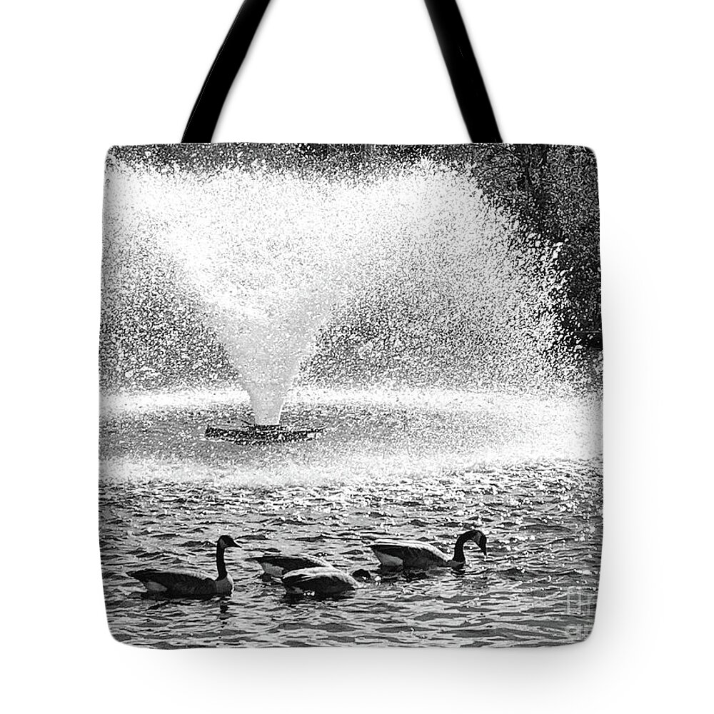 Canada Tote Bag featuring the photograph Canada Goose Fountain by Mary Mikawoz