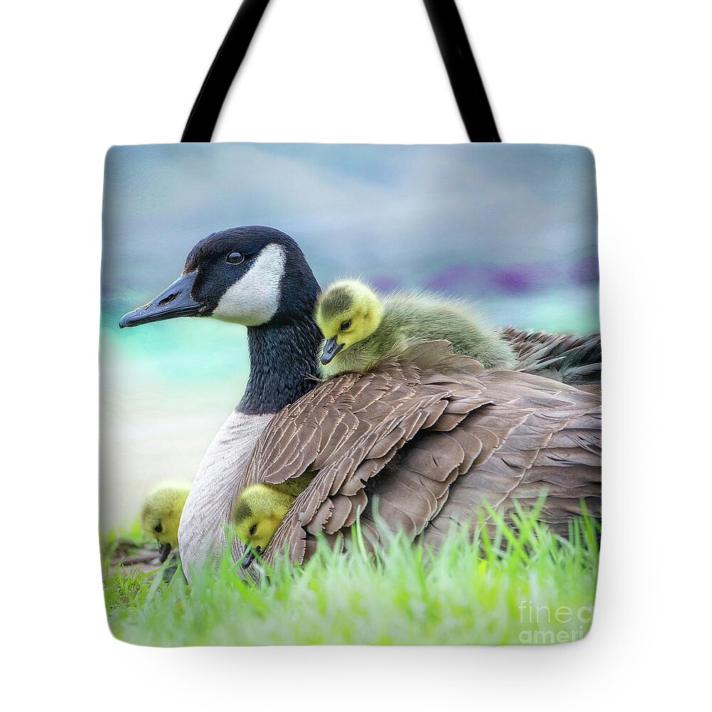 Mom Canada Goose Kkeeping The Chicks Warm. Tote Bag featuring the photograph Canada Goose with Chicks by Sandra Rust
