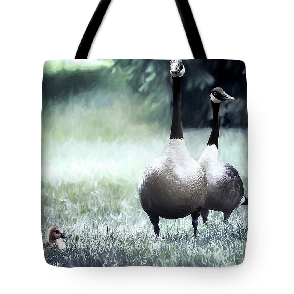 Canadian Geese Tote Bag featuring the photograph Canadian Geese Series 2 by Darlene Kwiatkowski