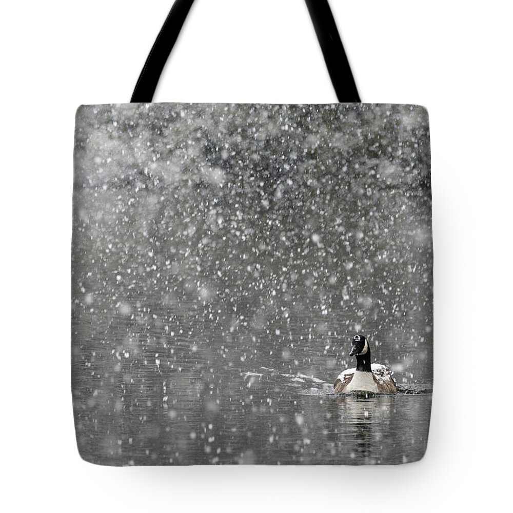 North America Tote Bag featuring the photograph Canadian Goose in Snow 1 by Melissa Southern