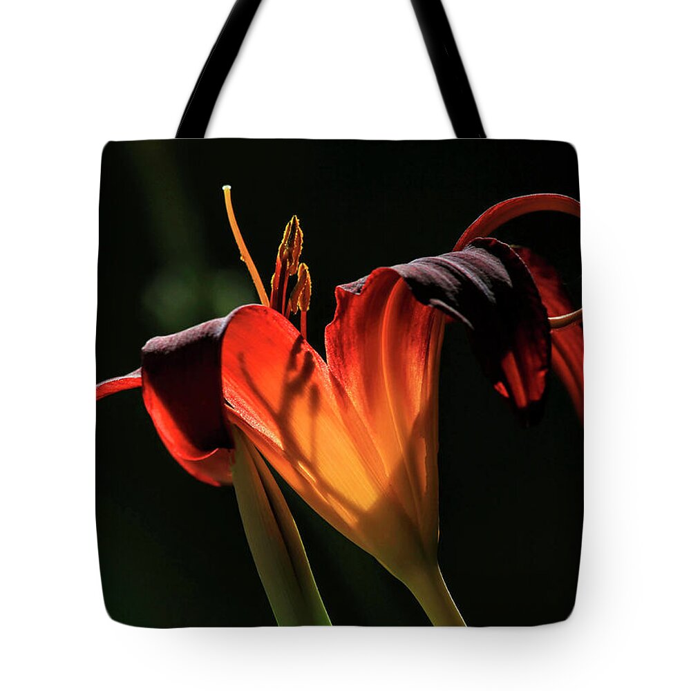 Lily Tote Bag featuring the photograph Candle in the Wind by Donna Kennedy
