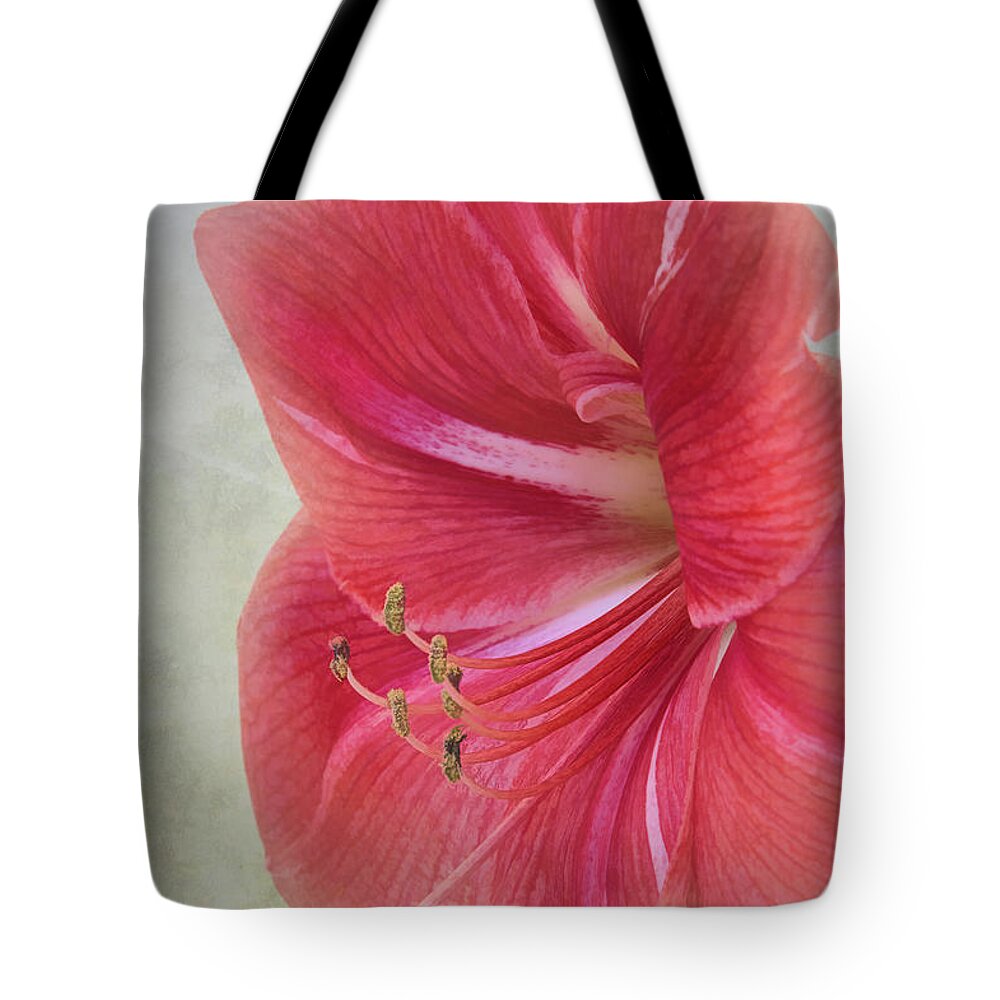 Candy Cane Tote Bag featuring the photograph Candy Cane Flower by Amy Dundon