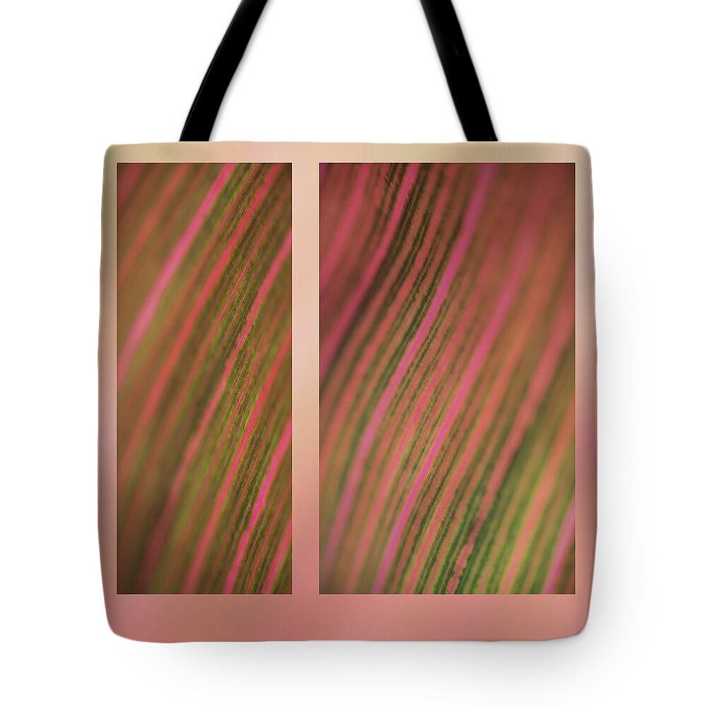 Abstract Tote Bag featuring the photograph Canna by Karen Rispin