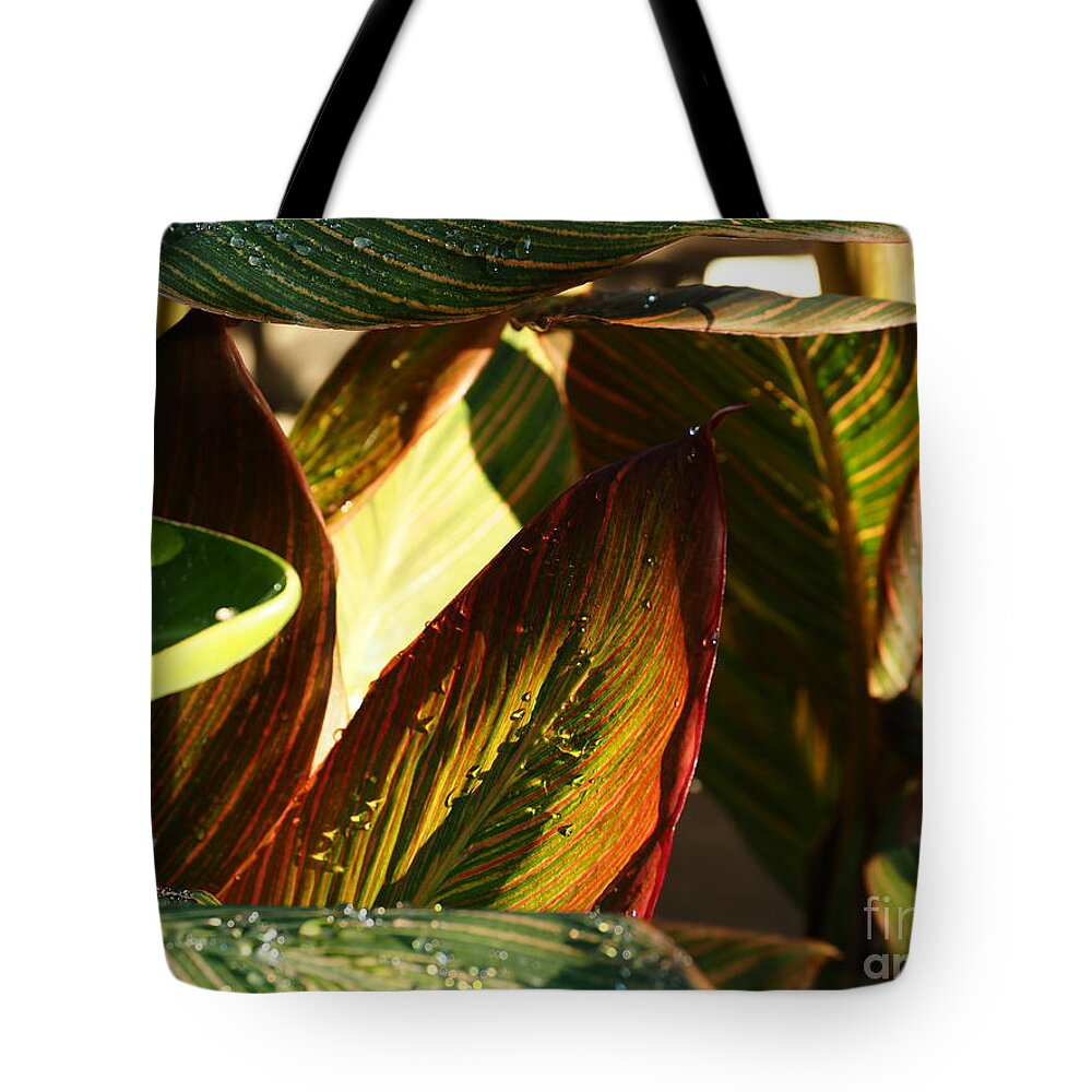 Botanical Tote Bag featuring the photograph Canna Lily Beauty by Richard Thomas