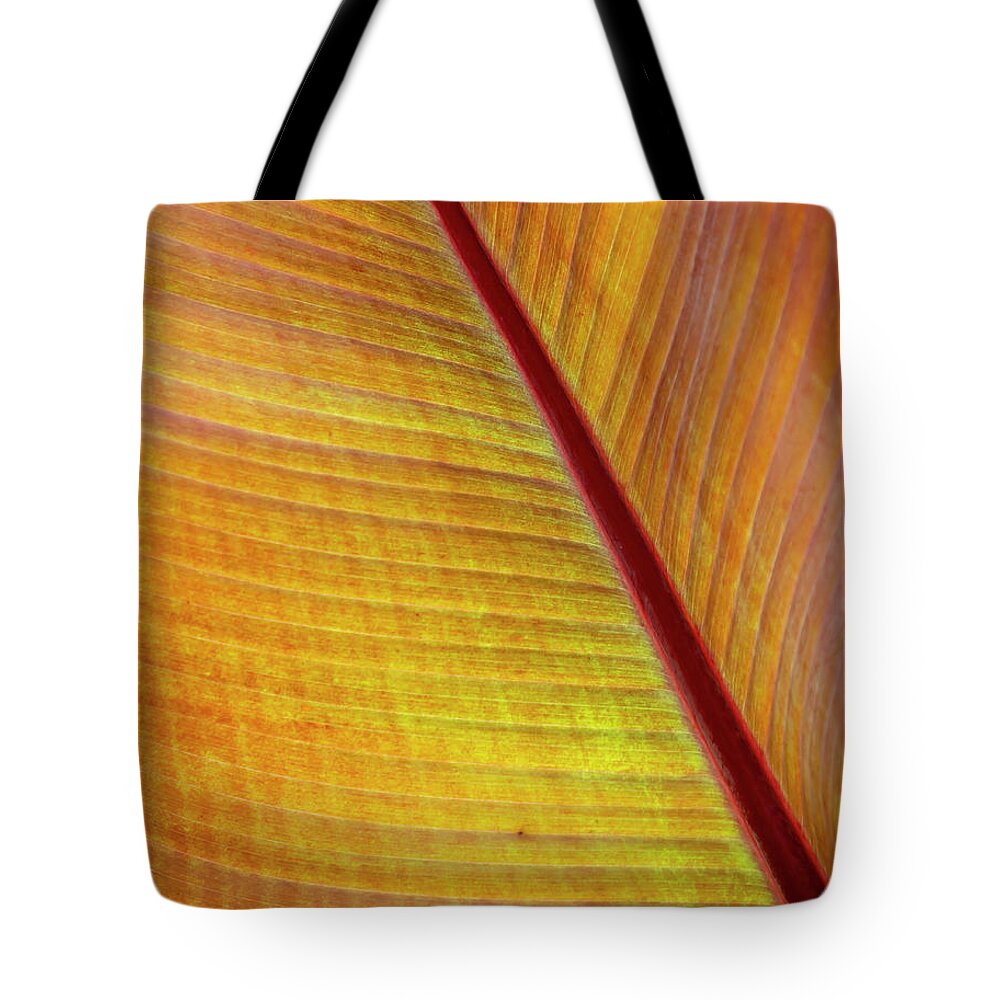 Cannas Tote Bag featuring the photograph Cannas Leaf Abstract by Cate Franklyn