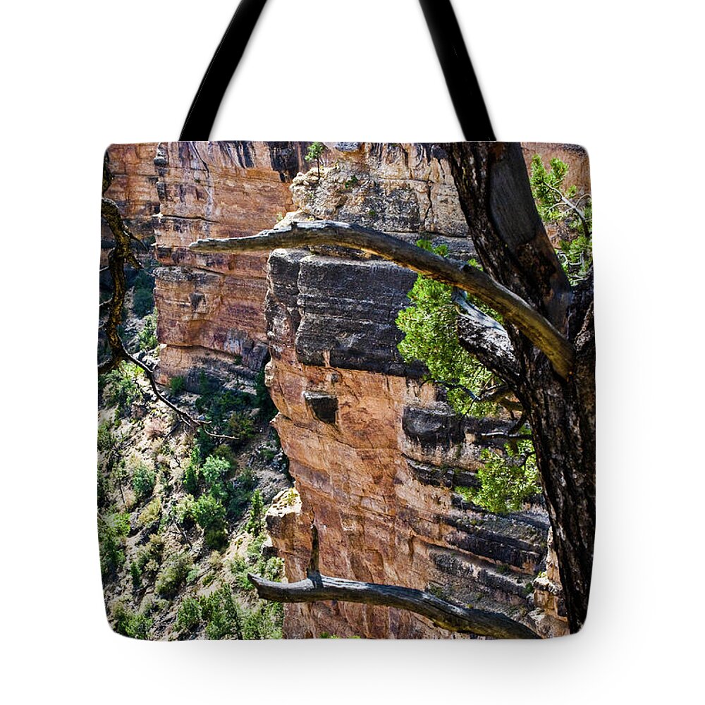 Grand Tote Bag featuring the photograph Canyon Behind Tree by Gordon Sarti