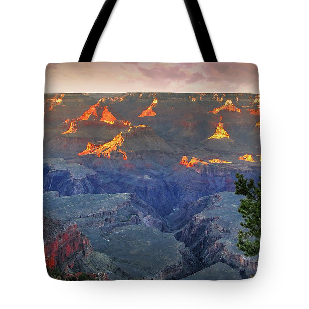 Fine Art Tote Bag featuring the photograph Canyon Color by Robert Harris