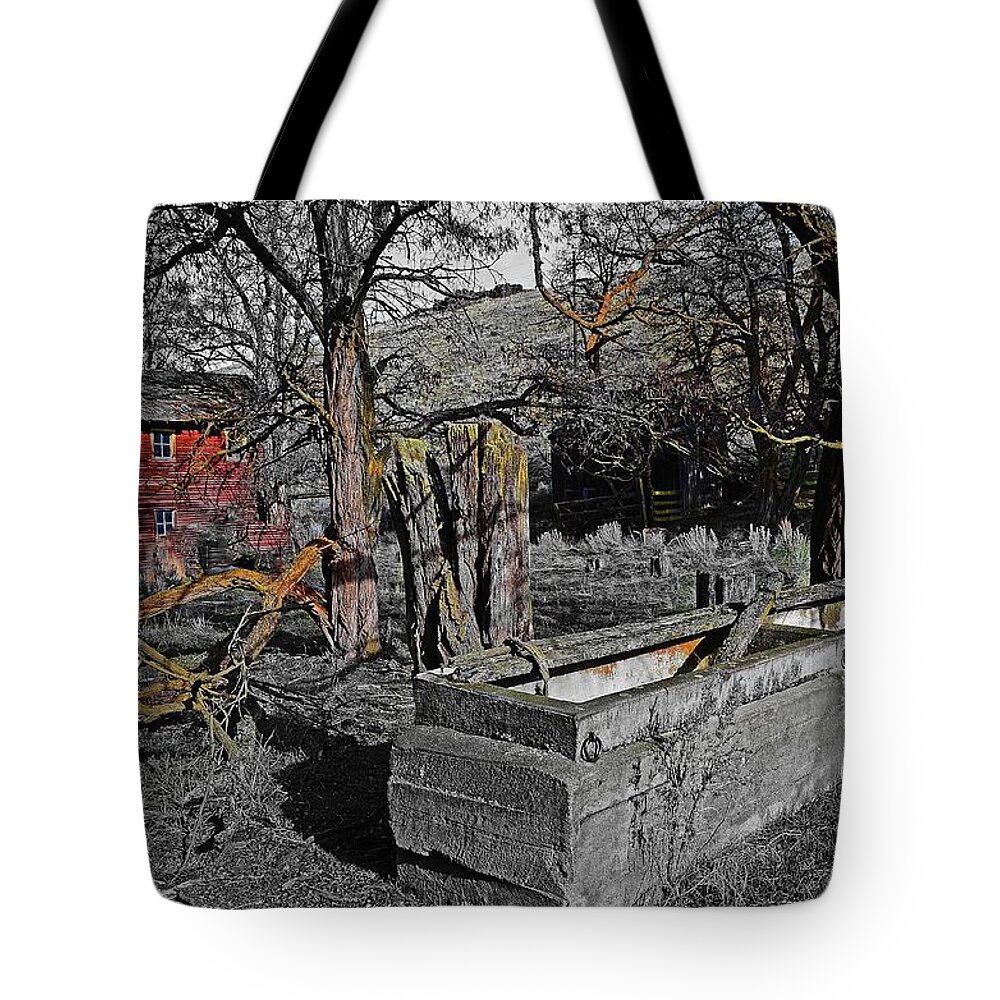  Tote Bag featuring the digital art Canyon, Homestead by Fred Loring