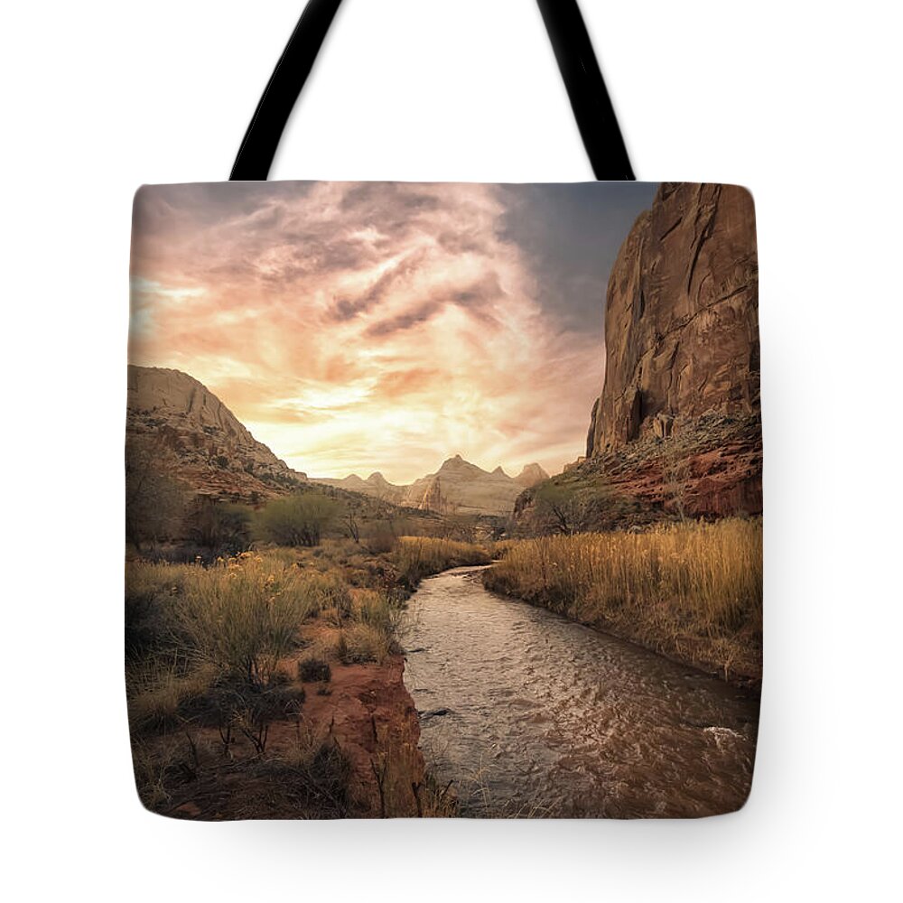 Capitol Hill Tote Bags