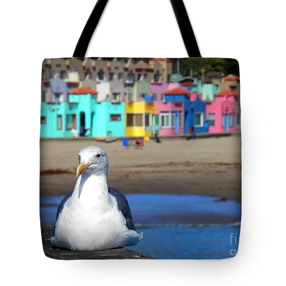 Capitola Tote Bag featuring the photograph Capitola And The Seagull by Claudia Zahnd-Prezioso