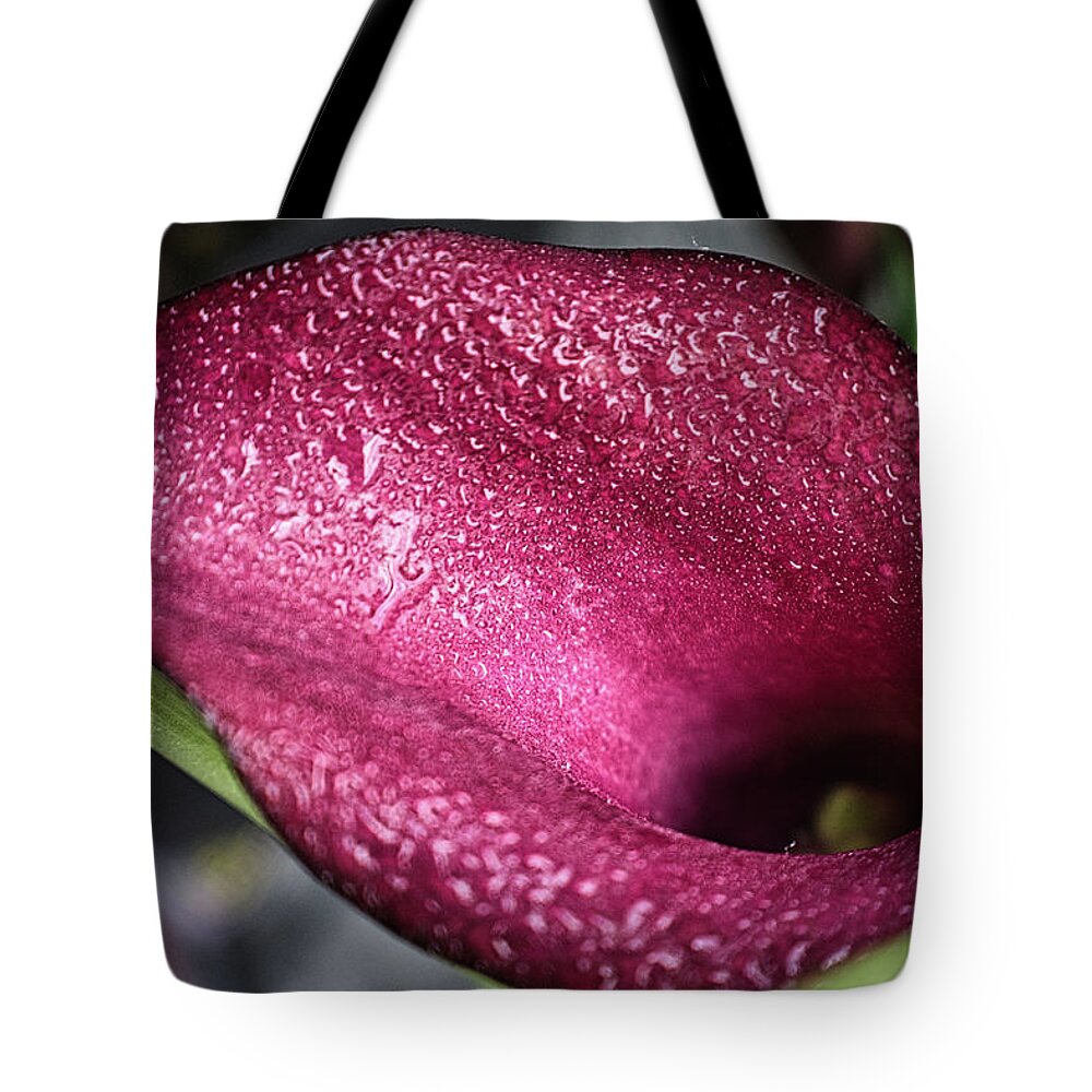 Flower Tote Bag featuring the photograph Captivating Calla Lily by Portia Olaughlin