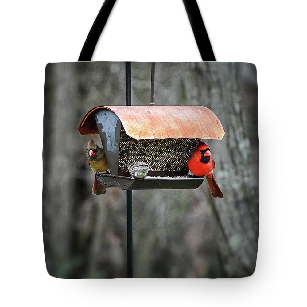 Cardinal Tote Bag featuring the photograph Cardinal Couple by Steven Nelson