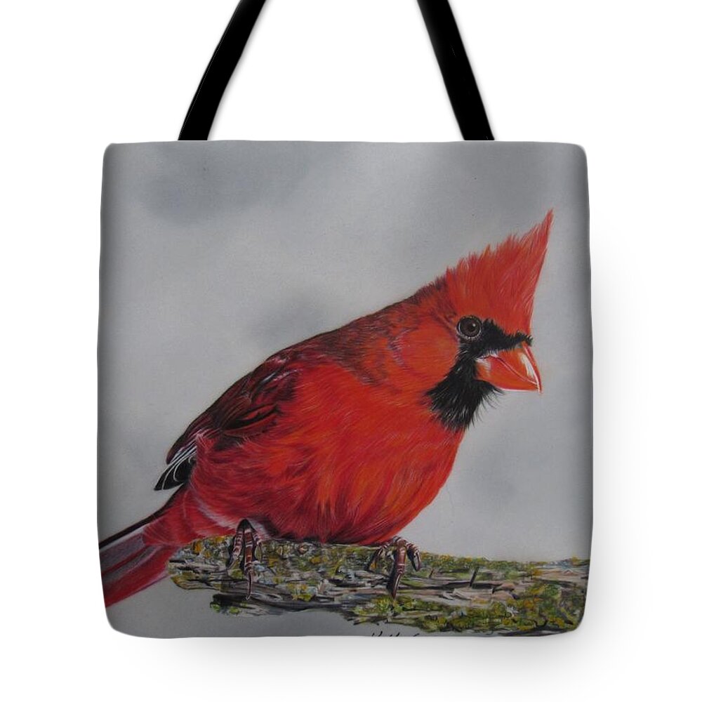 Bird Tote Bag featuring the drawing Cardinal by Kelly Speros